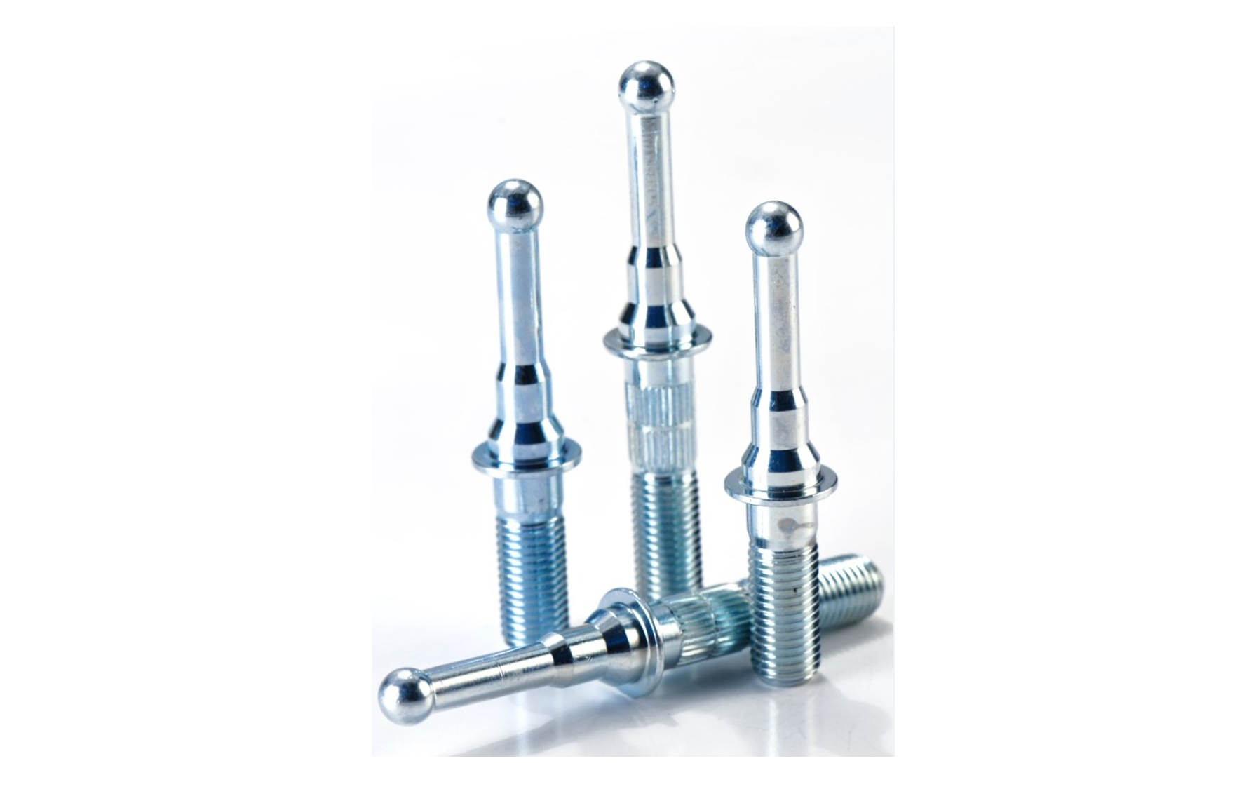 Picture1rwwr Picture1rwwr