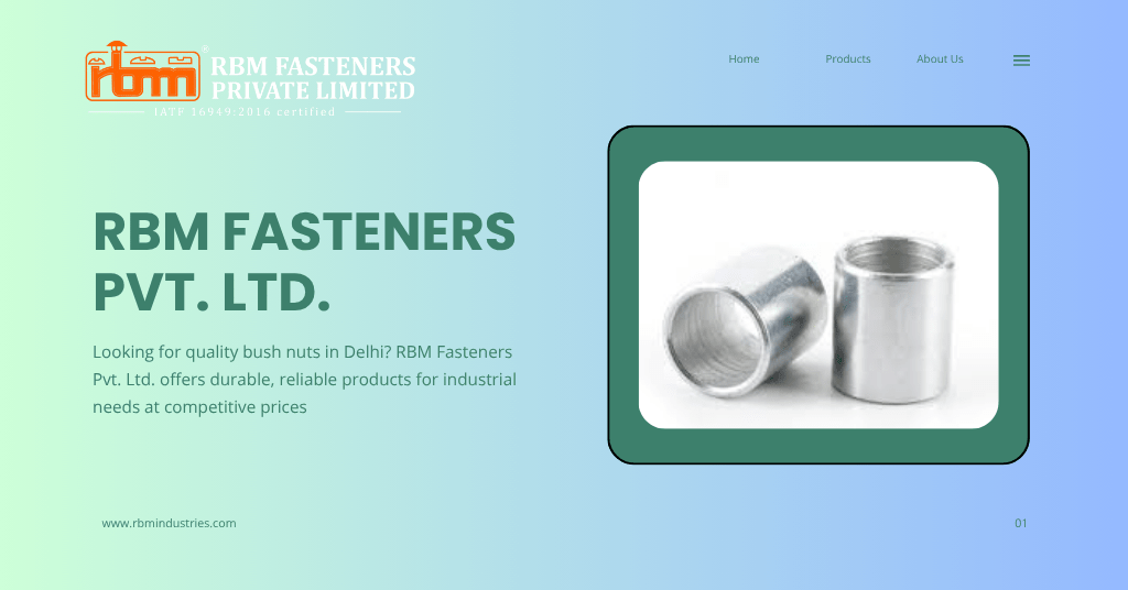 Bush Nuts Wholesaler in Delhi